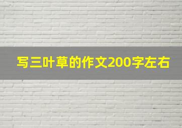 写三叶草的作文200字左右