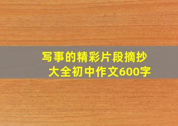 写事的精彩片段摘抄大全初中作文600字