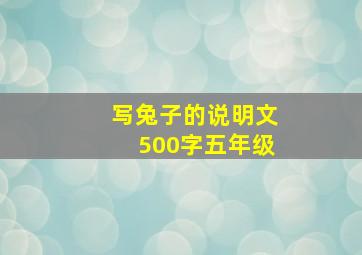 写兔子的说明文500字五年级