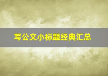 写公文小标题经典汇总