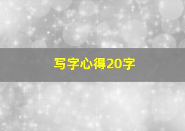 写字心得20字