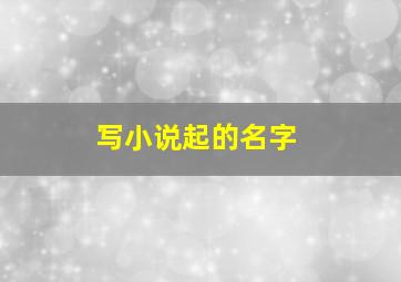 写小说起的名字