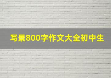 写景800字作文大全初中生