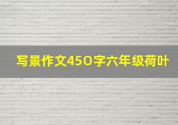 写景作文45O字六年级荷叶