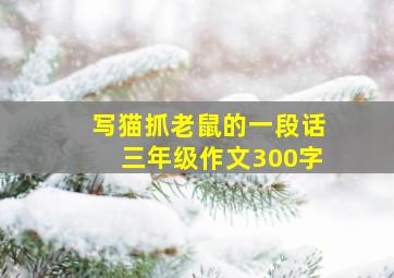 写猫抓老鼠的一段话三年级作文300字