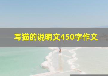 写猫的说明文450字作文