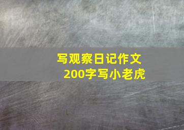 写观察日记作文200字写小老虎