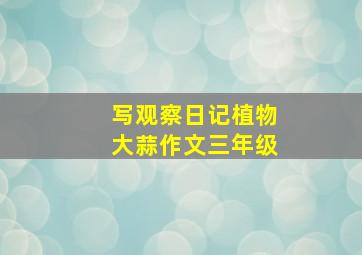 写观察日记植物大蒜作文三年级