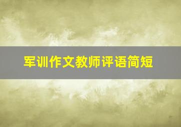 军训作文教师评语简短