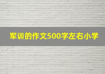 军训的作文500字左右小学