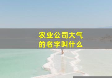 农业公司大气的名字叫什么