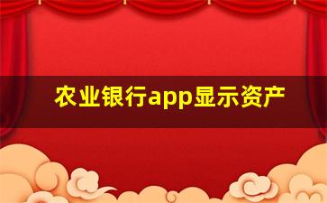 农业银行app显示资产