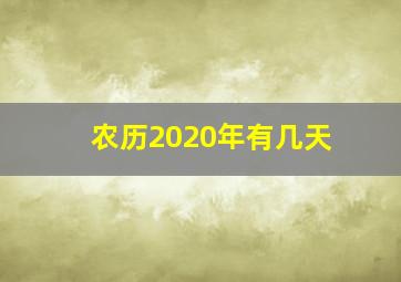 农历2020年有几天