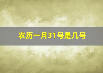 农历一月31号是几号