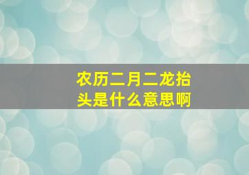 农历二月二龙抬头是什么意思啊