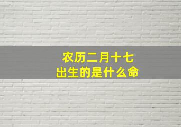 农历二月十七出生的是什么命