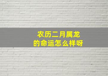 农历二月属龙的命运怎么样呀