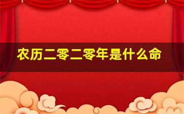 农历二零二零年是什么命