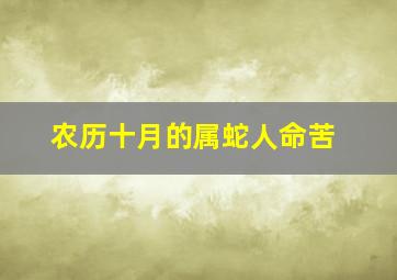 农历十月的属蛇人命苦