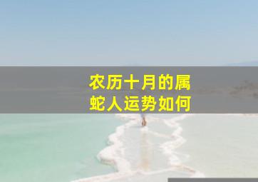 农历十月的属蛇人运势如何