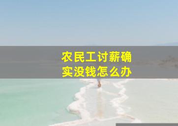 农民工讨薪确实没钱怎么办