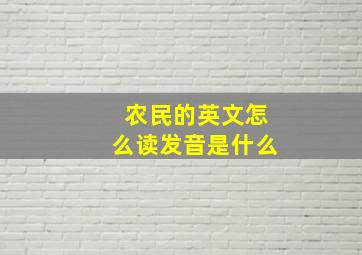 农民的英文怎么读发音是什么