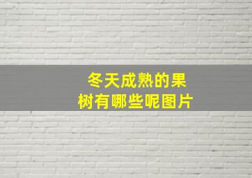 冬天成熟的果树有哪些呢图片