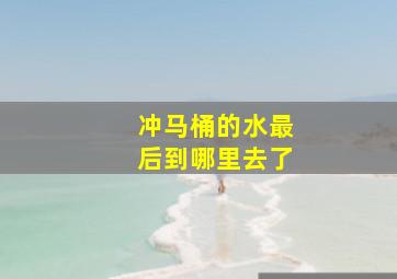 冲马桶的水最后到哪里去了