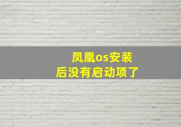 凤凰os安装后没有启动项了