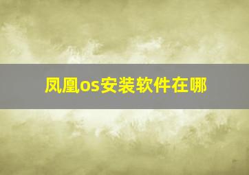 凤凰os安装软件在哪