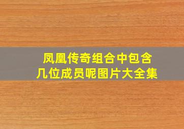 凤凰传奇组合中包含几位成员呢图片大全集