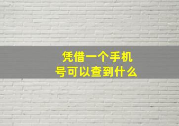 凭借一个手机号可以查到什么