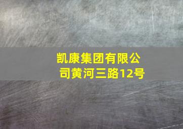 凯康集团有限公司黄河三路12号