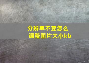 分辨率不变怎么调整图片大小kb