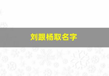 刘跟杨取名字