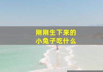 刚刚生下来的小兔子吃什么