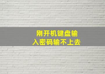 刚开机键盘输入密码输不上去