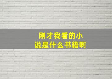 刚才我看的小说是什么书籍啊