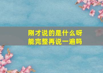 刚才说的是什么呀能完整再说一遍吗