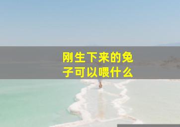 刚生下来的兔子可以喂什么