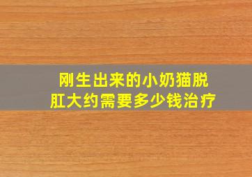 刚生出来的小奶猫脱肛大约需要多少钱治疗