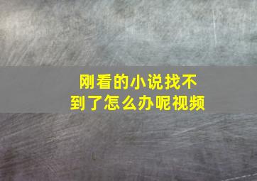 刚看的小说找不到了怎么办呢视频