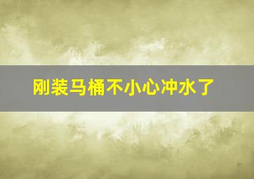 刚装马桶不小心冲水了