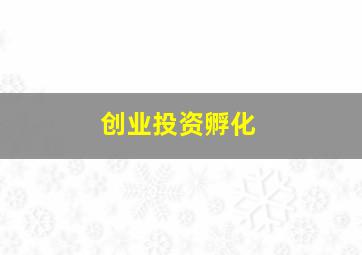 创业投资孵化