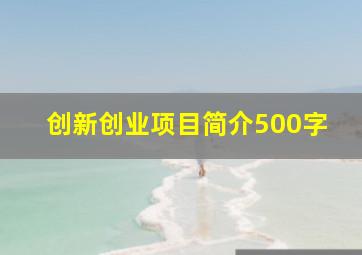 创新创业项目简介500字