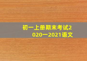 初一上册期末考试2020一2021语文