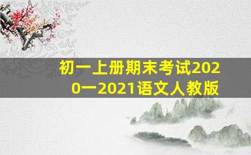 初一上册期末考试2020一2021语文人教版