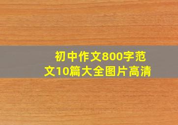 初中作文800字范文10篇大全图片高清