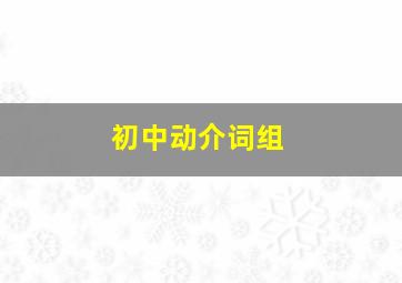 初中动介词组