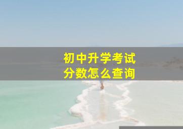 初中升学考试分数怎么查询